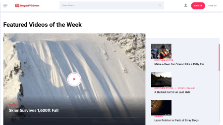 Visit Stupid Videos video host